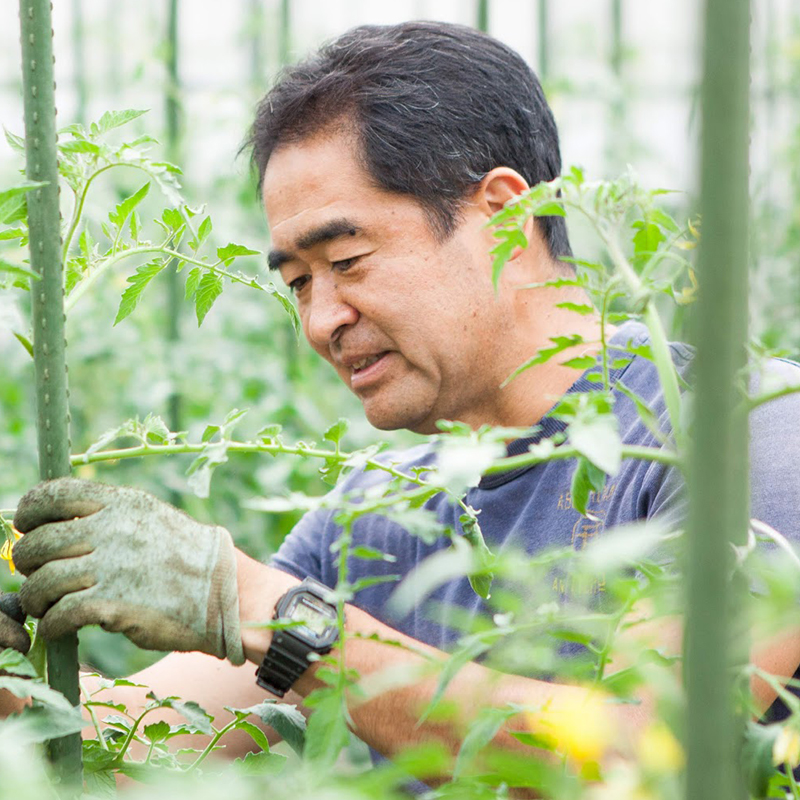 国分寺中村農園 中村克之さん